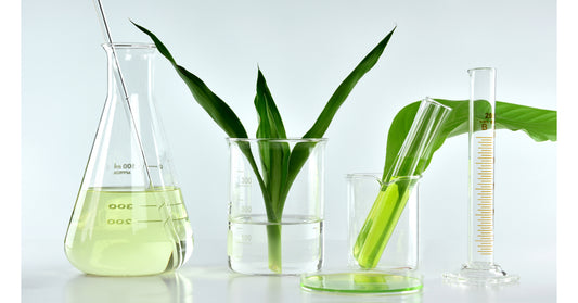 Plant products in laboratory setting to make vegan cosmetics.