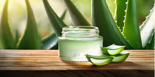 Unlocking the Soothing Power of Aloe